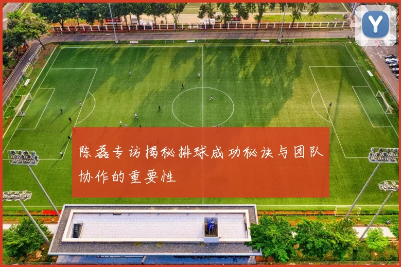 陈磊专访揭秘排球成功秘诀与团队协作的重要性