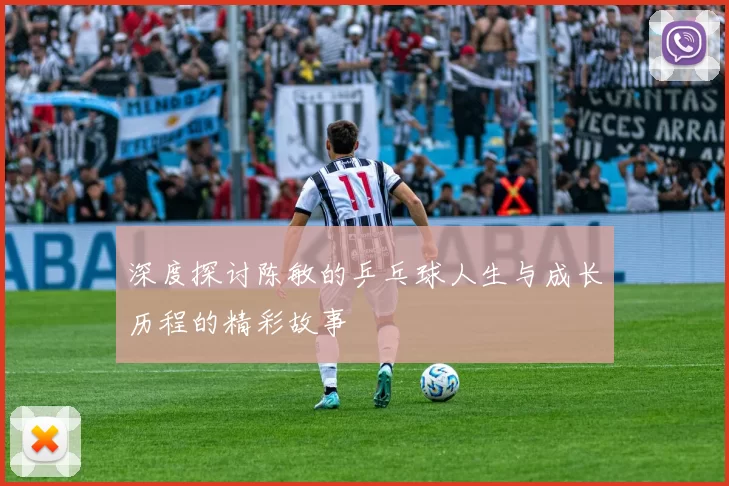 深度探讨陈敏的乒乓球人生与成长历程的精彩故事