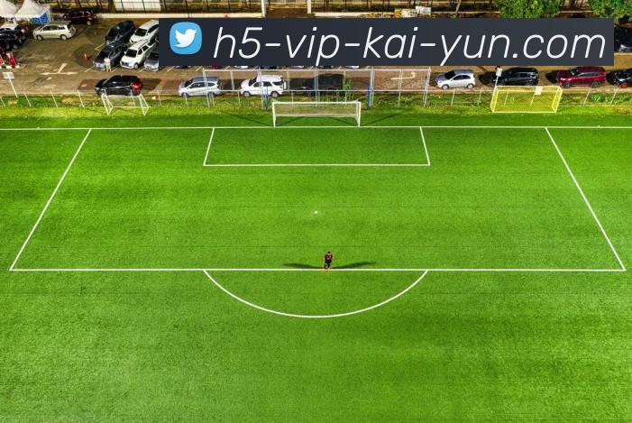 开云平台生态图